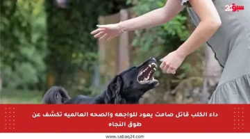 داء الكلب قاتل صامت يعود للواجهة والصحة العالمية تكشف عن طوق النجاة